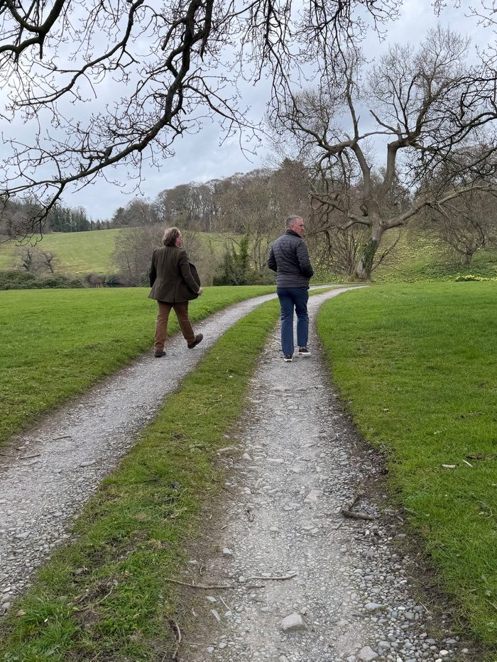 Walking up the gravel drive under a bare tree, daffodils scattered in the grass.