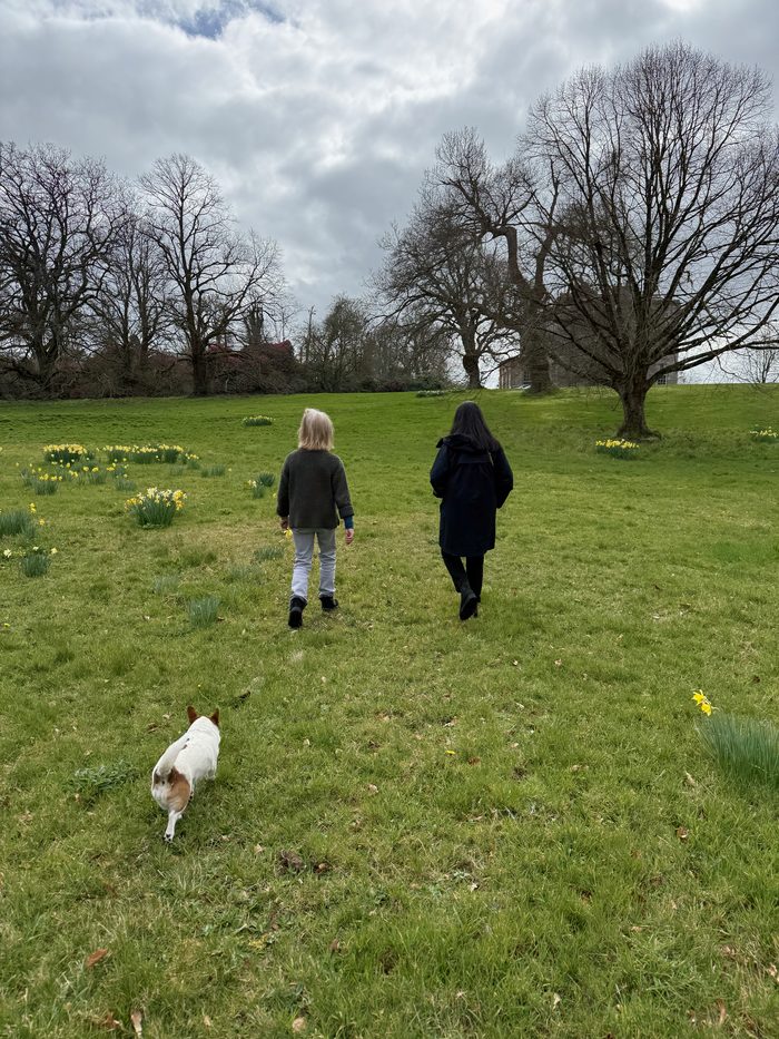 Walking across the lawn toward the house, with the dog running ahead.