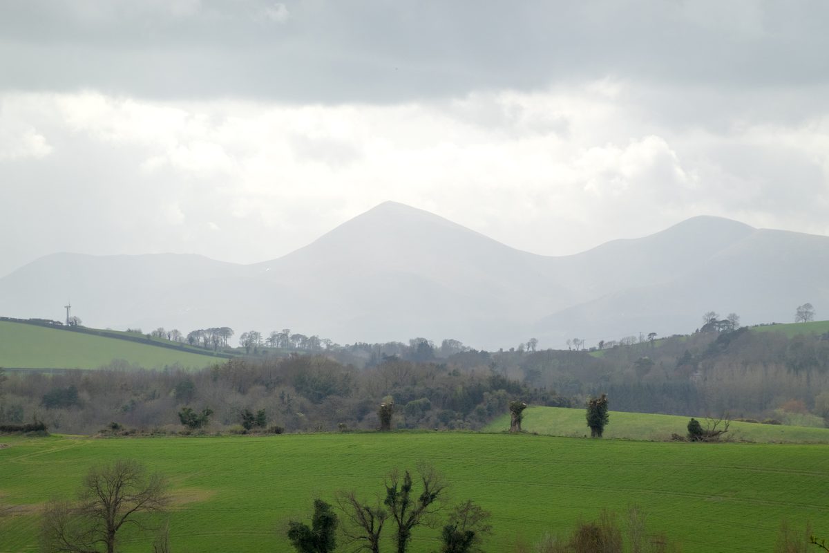 A hazy view of the Mourne Mountains beyond green farmland.