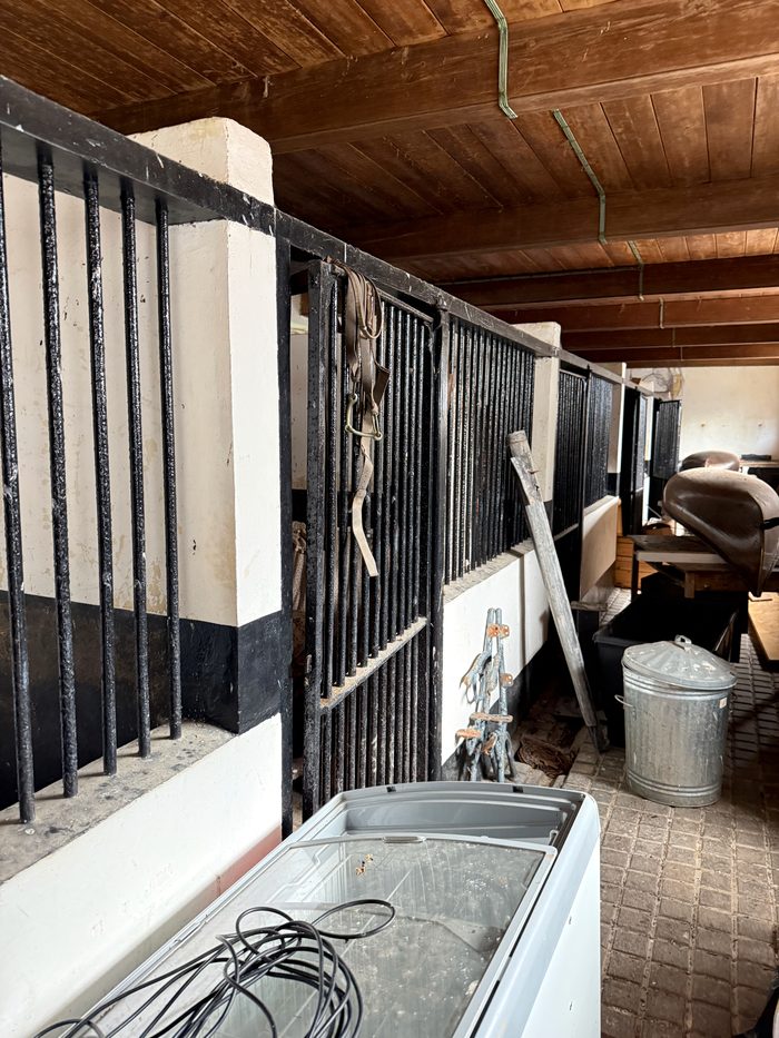 Rows of old horse stalls, iron bars and a hanging harness.
