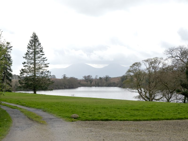 The same view today, the lake and the mountains beyond the lawn.
