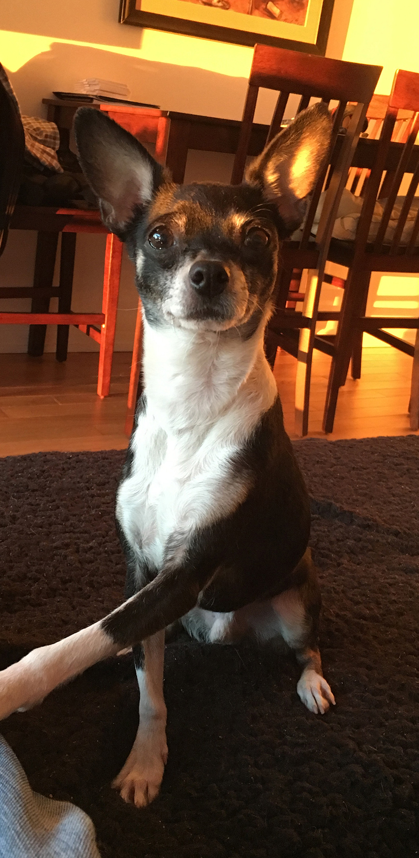 Benny