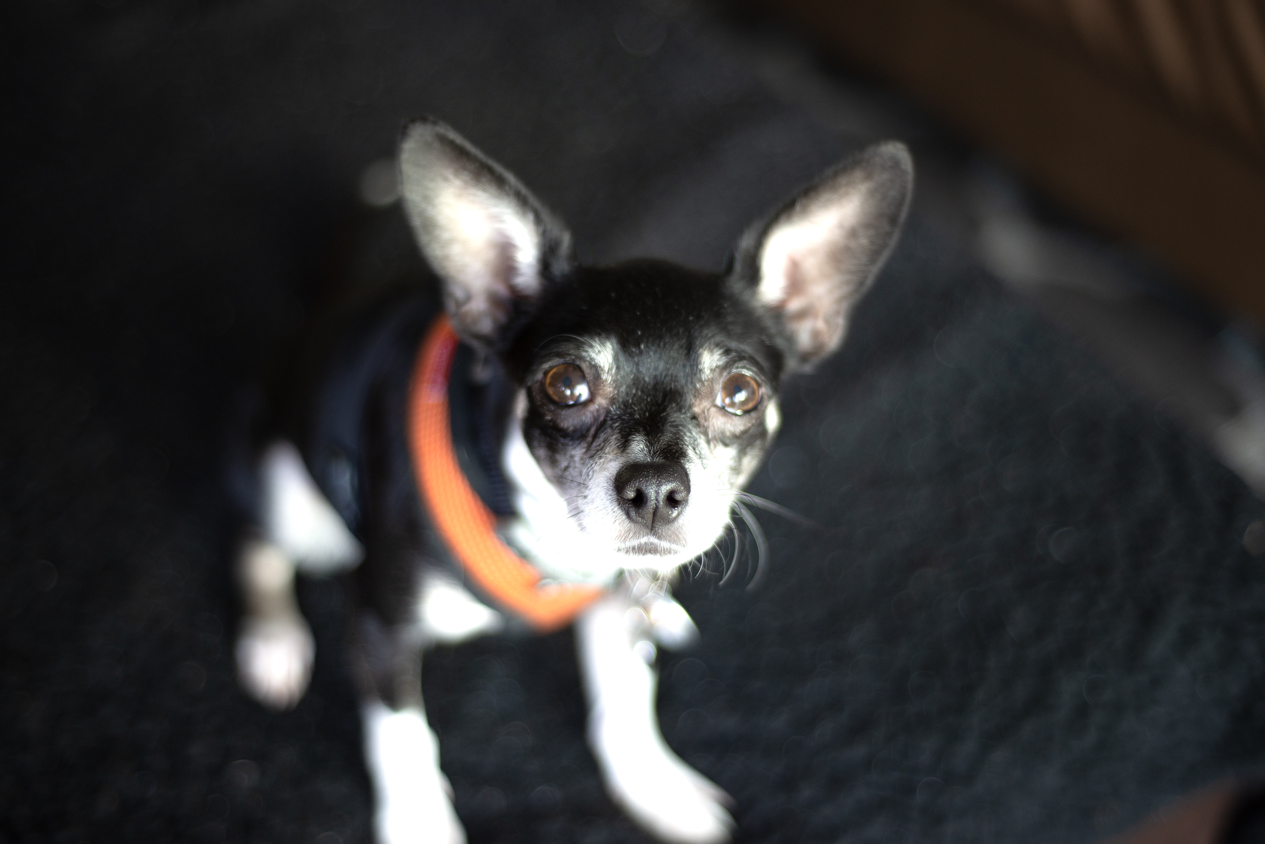 Benny