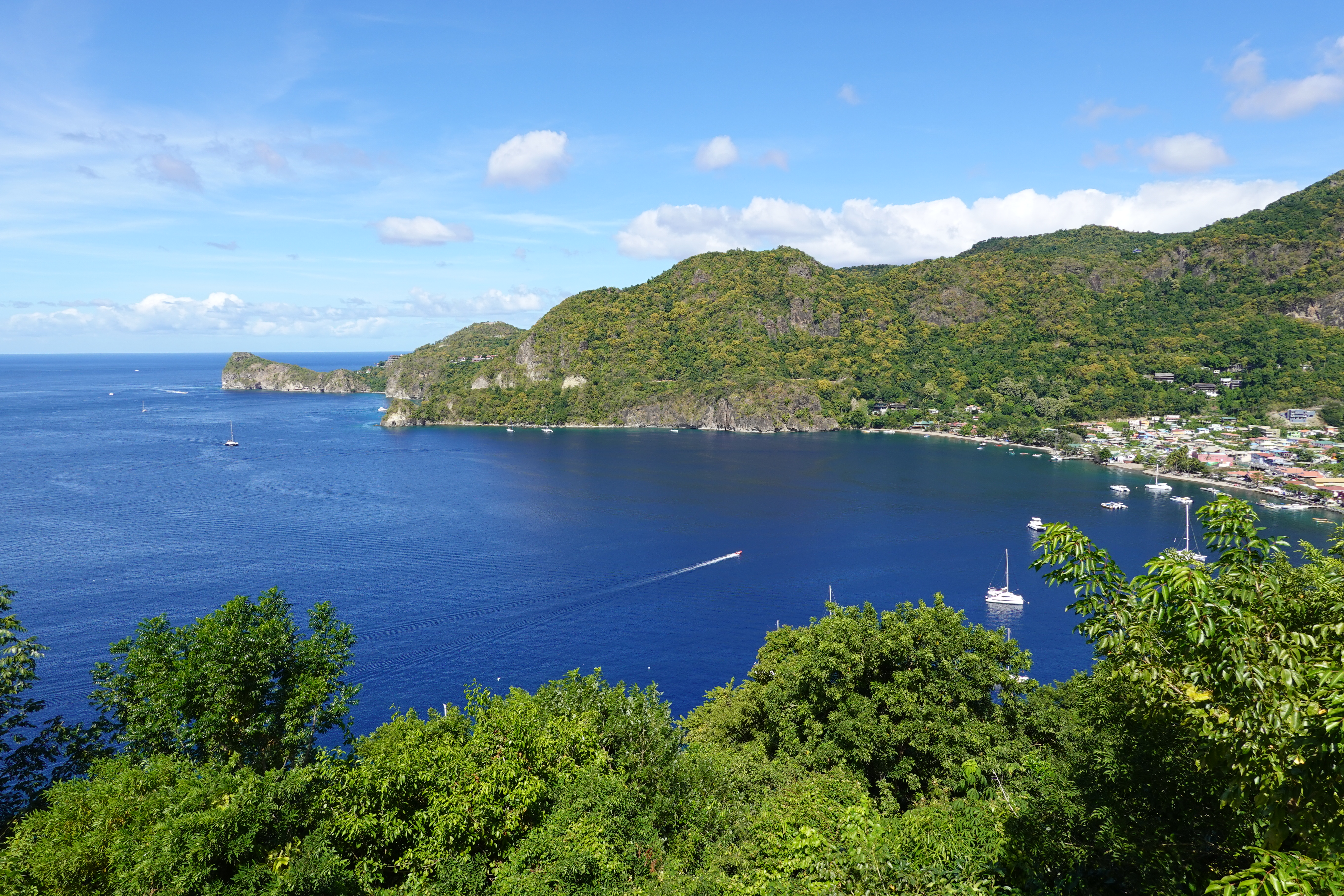 Caribbean