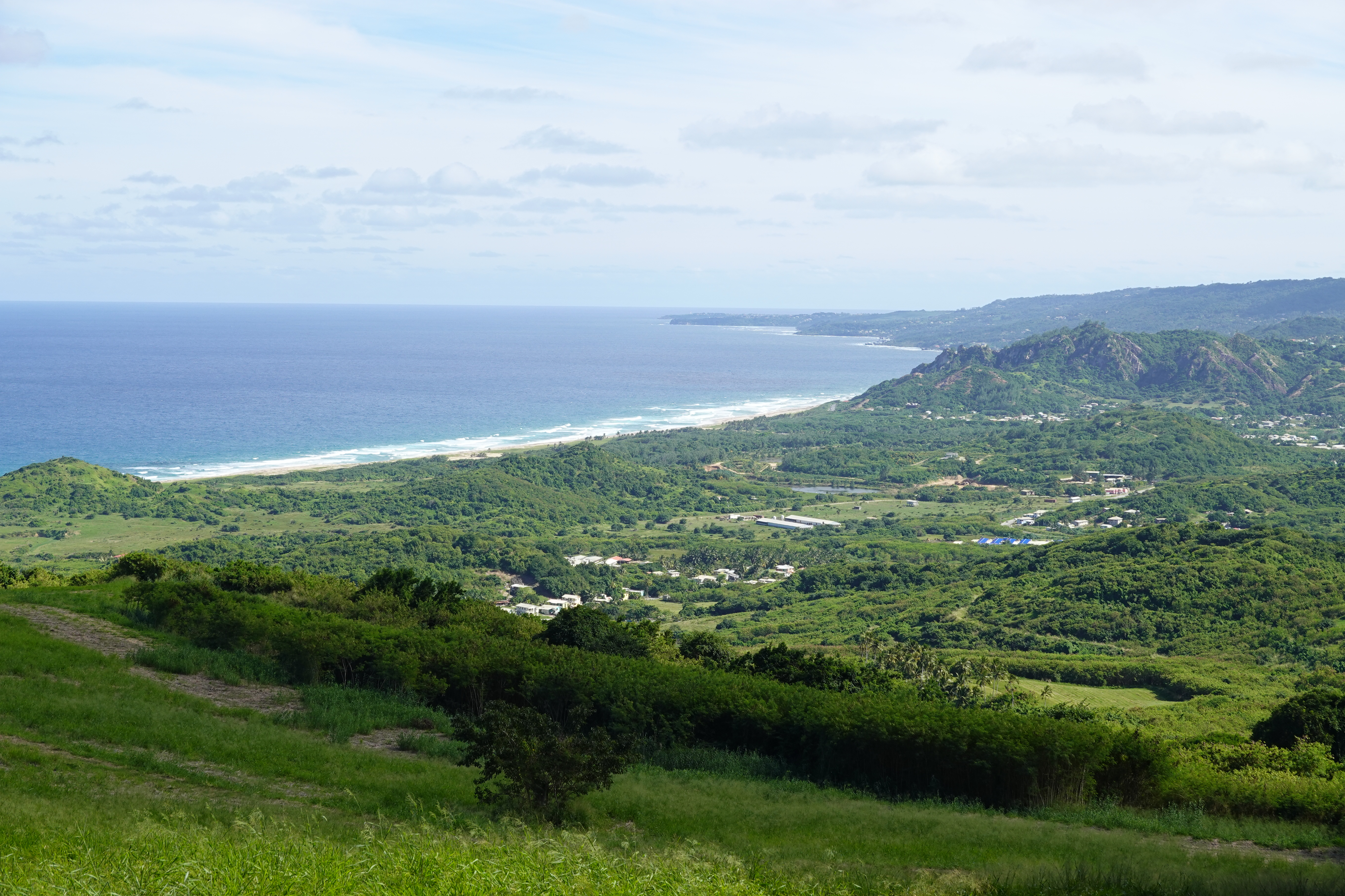 Caribbean
