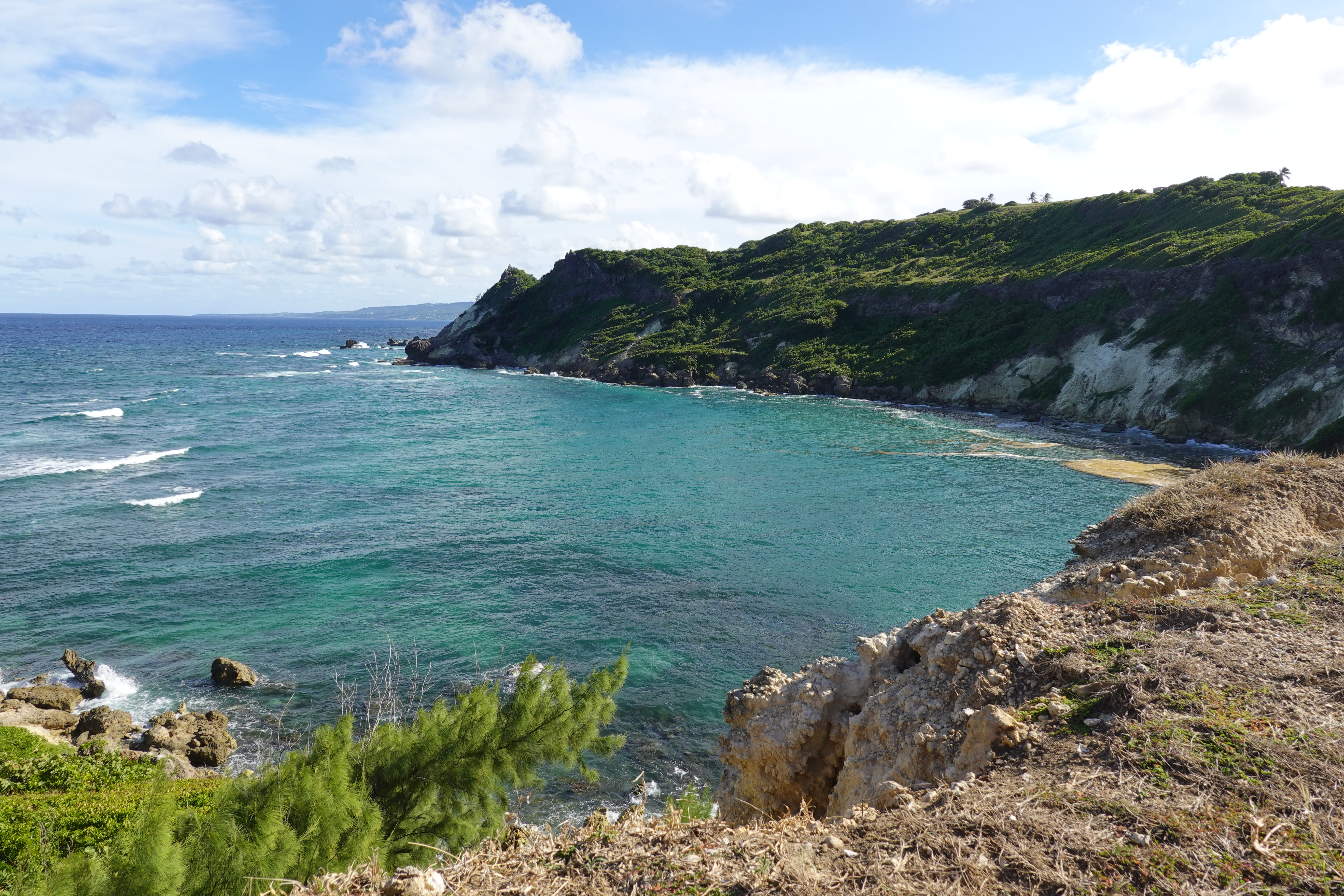 Caribbean