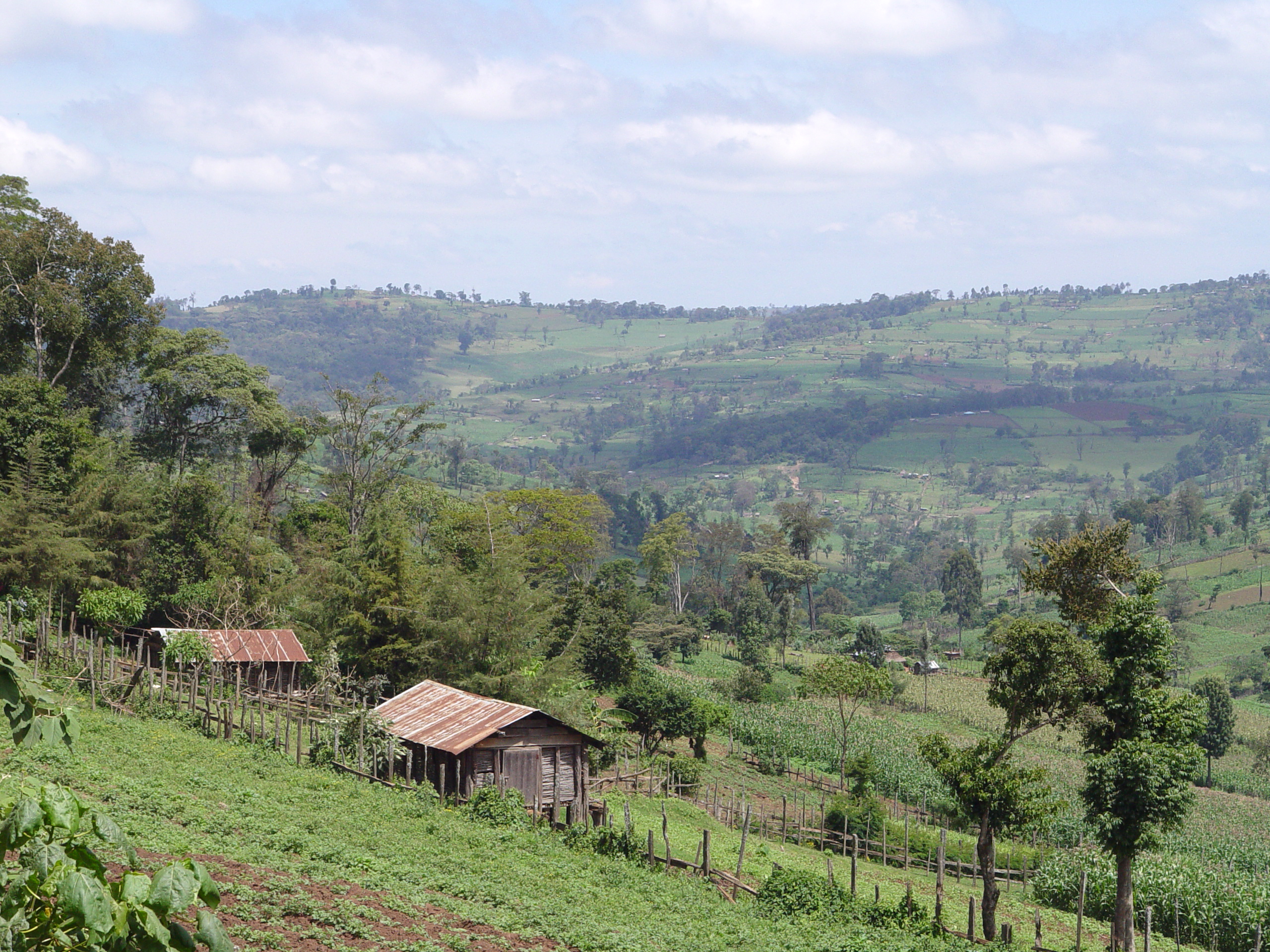 Kenya