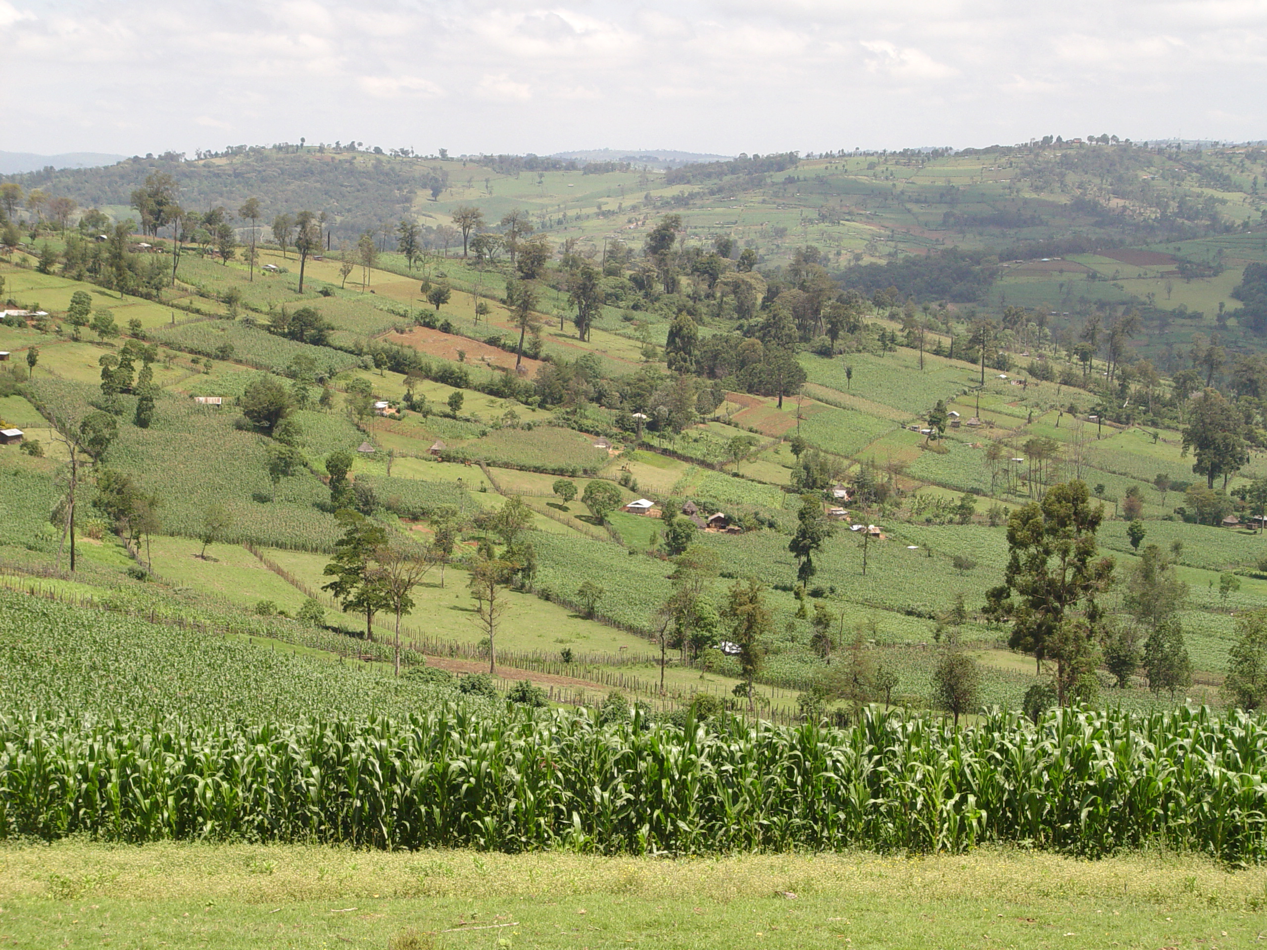 Kenya