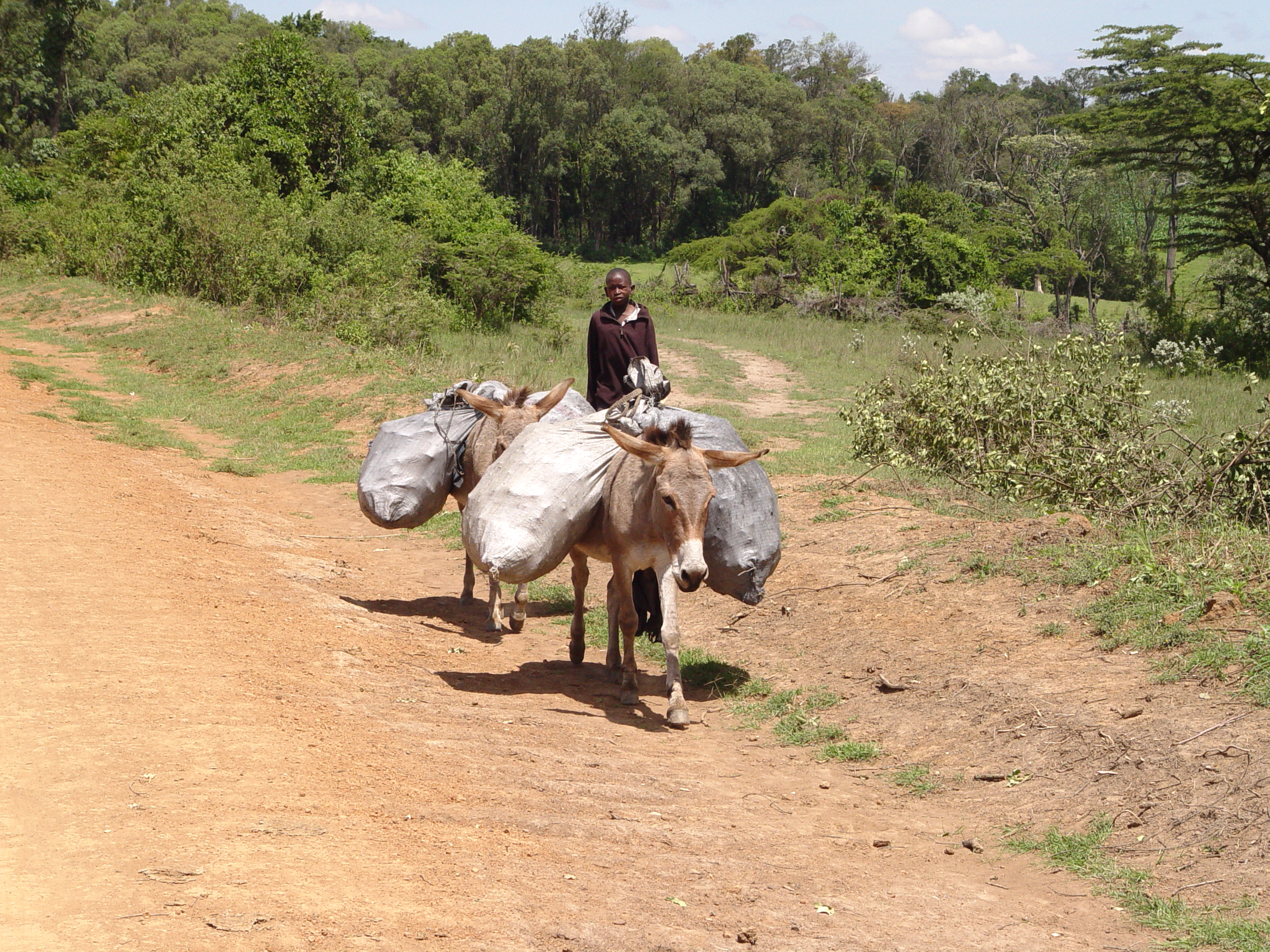 Kenya