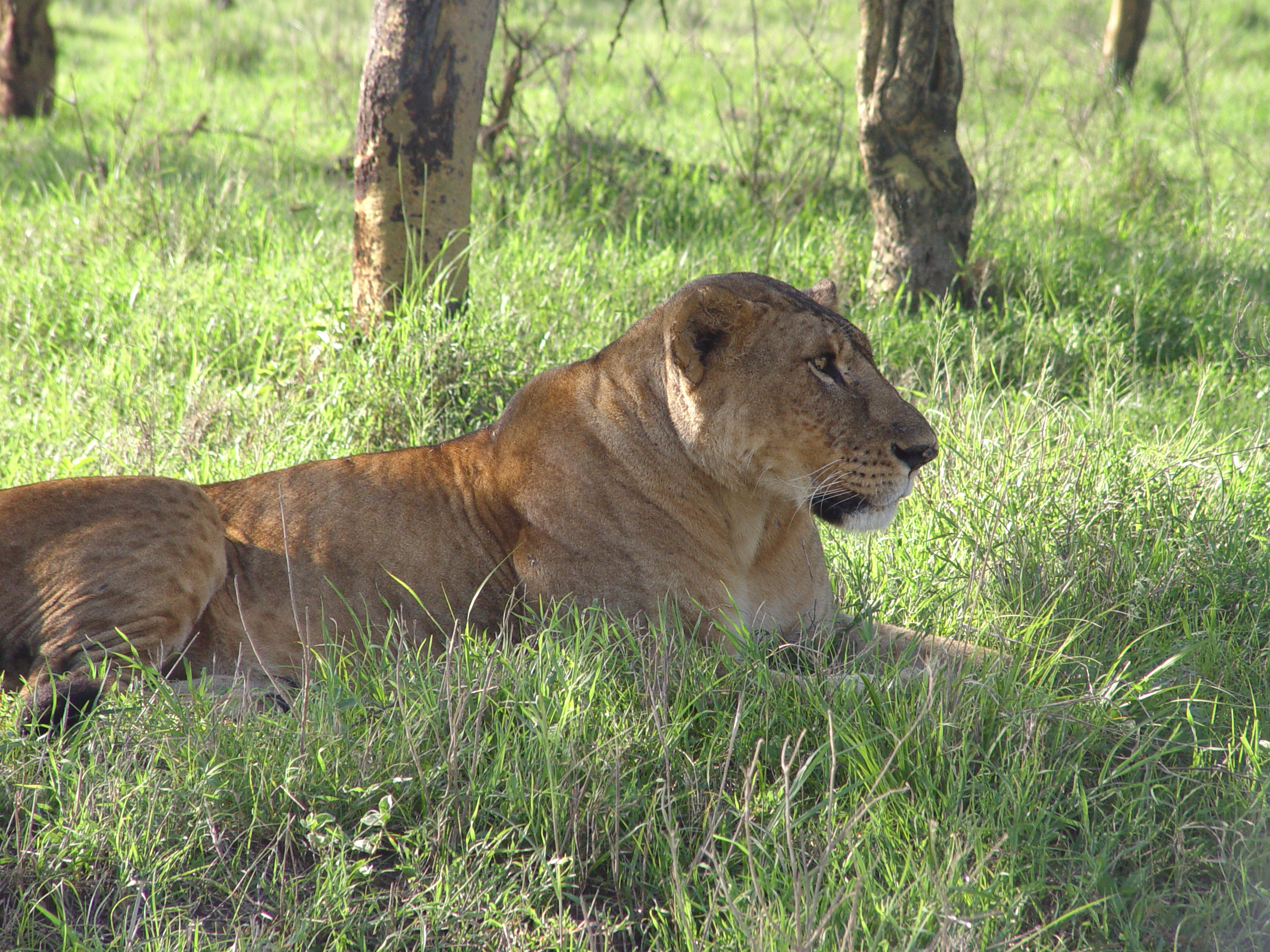 Kenya