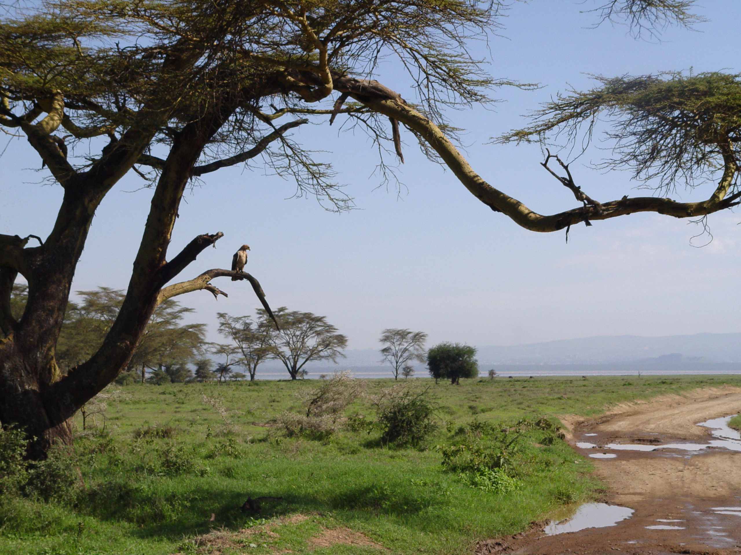 Kenya