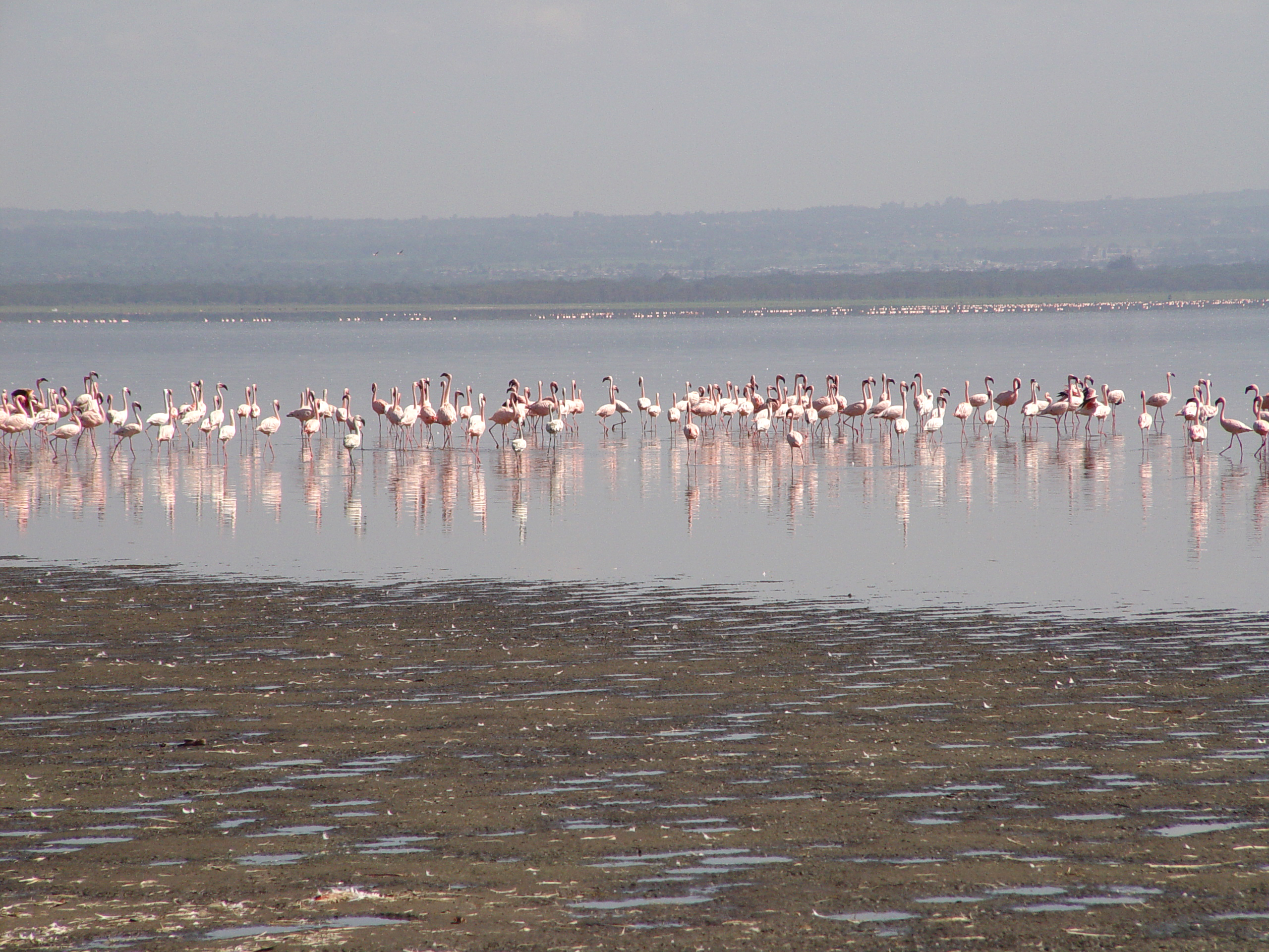 Kenya