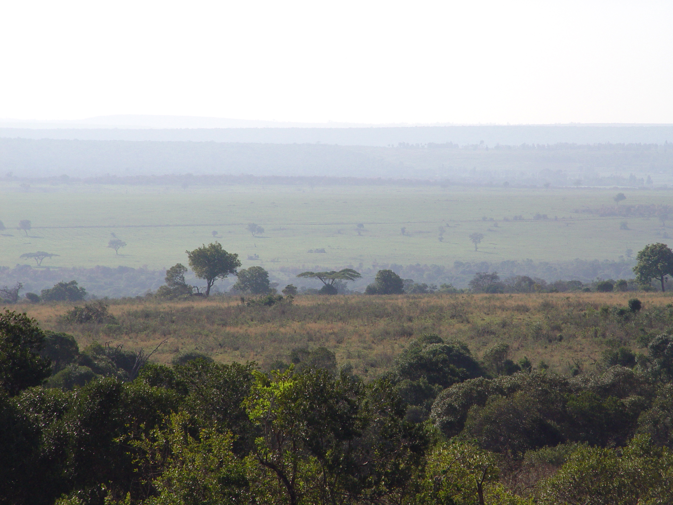 Kenya