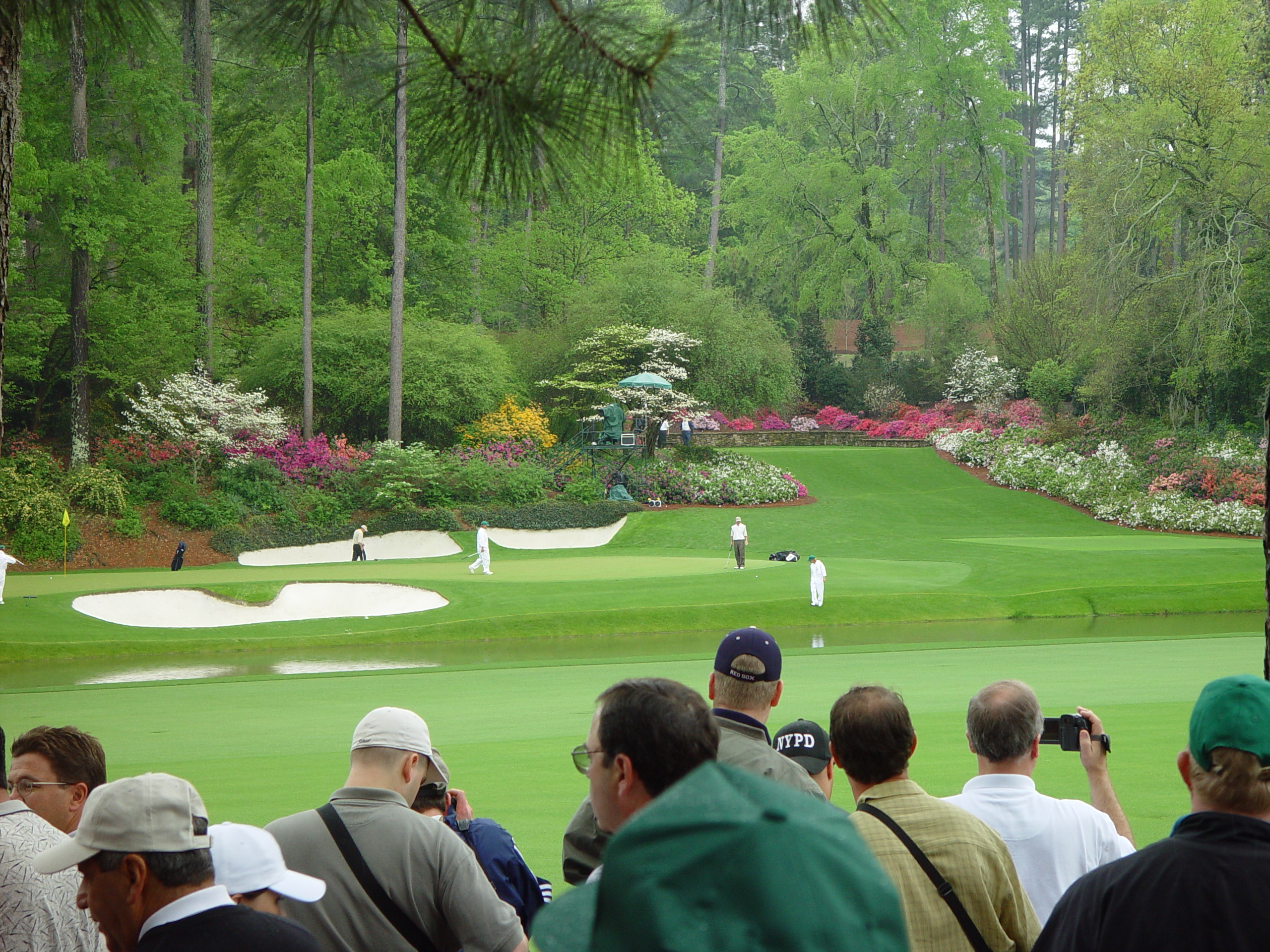 The Masters