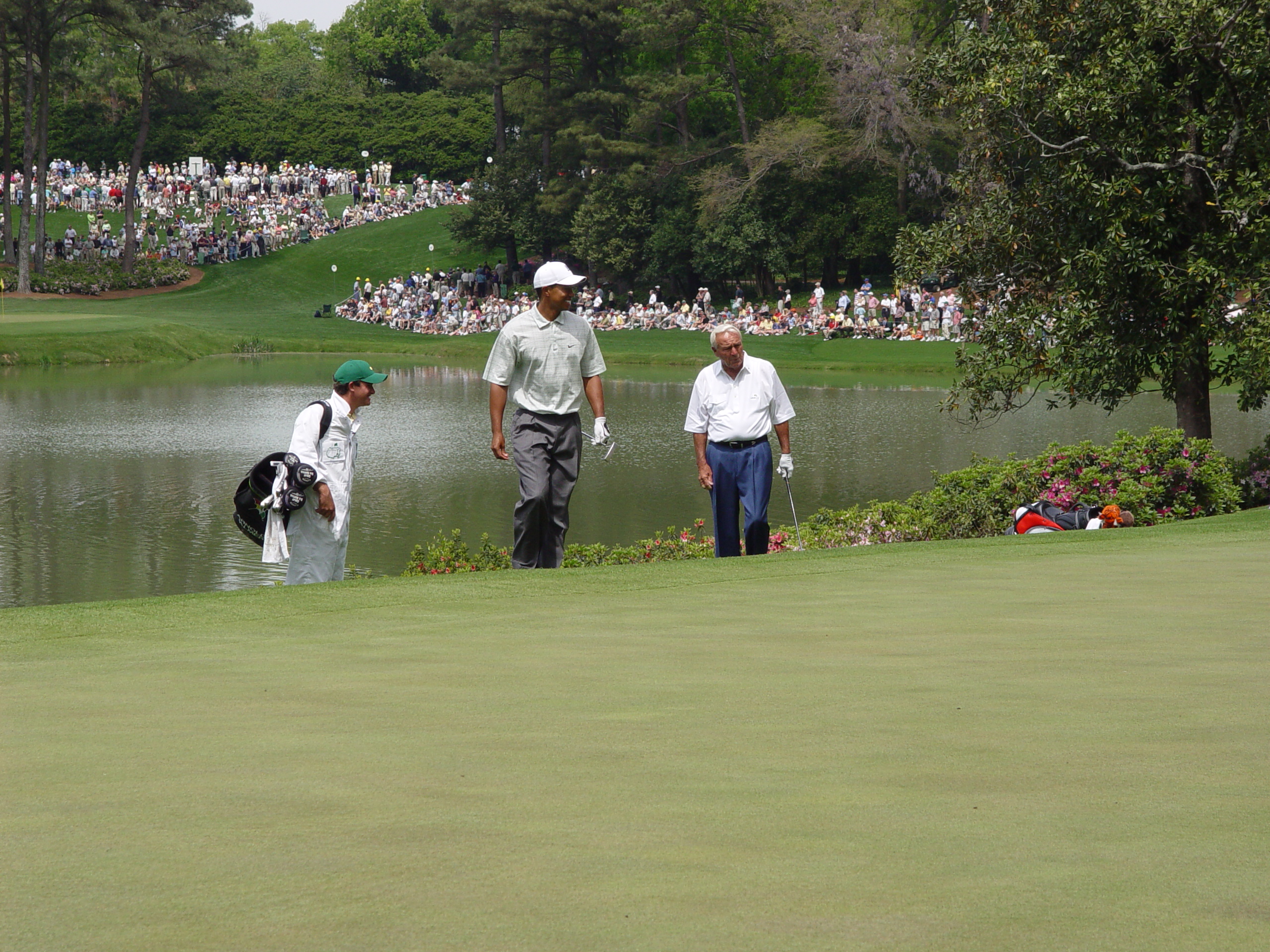 The Masters