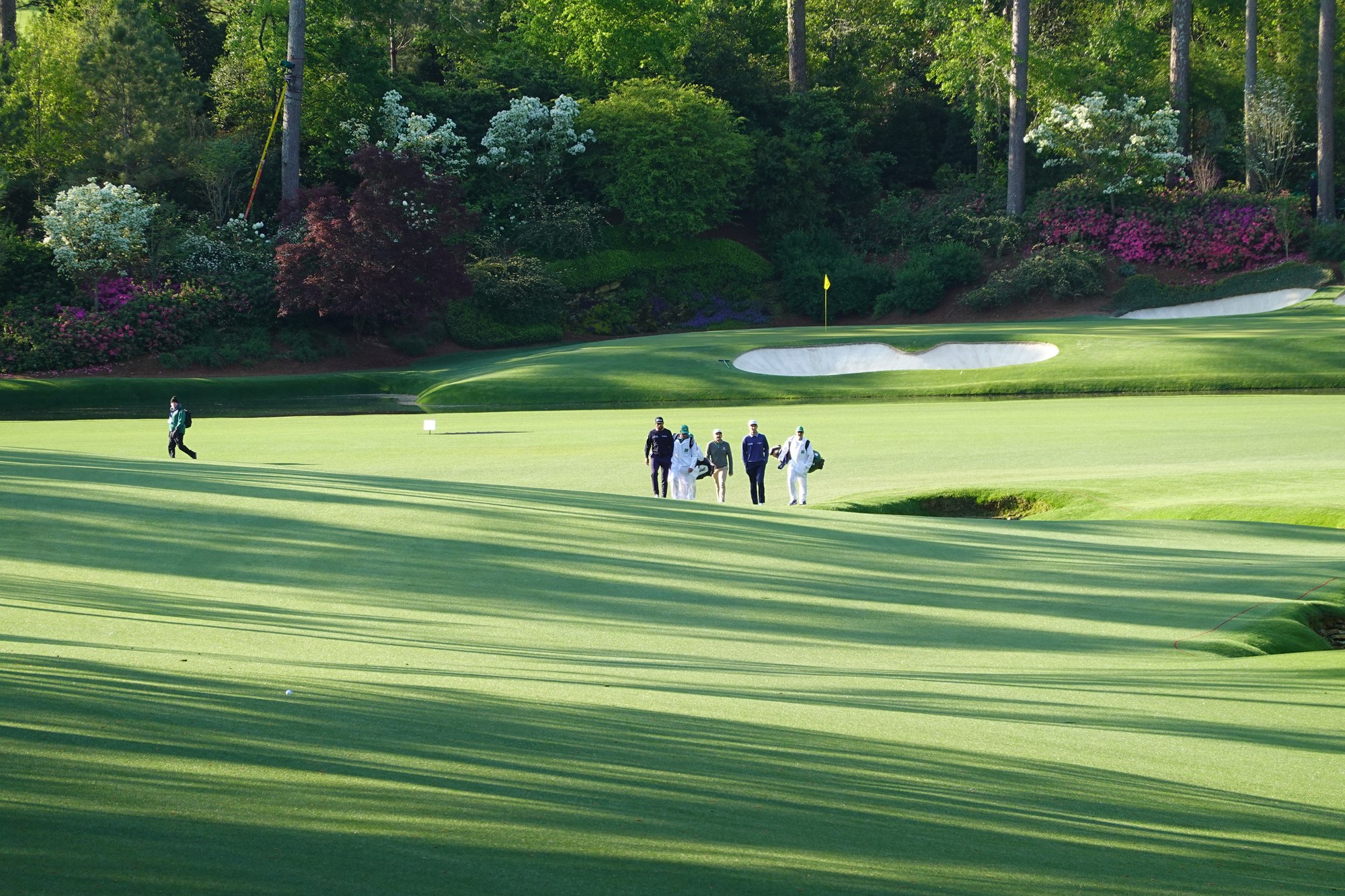 The Masters