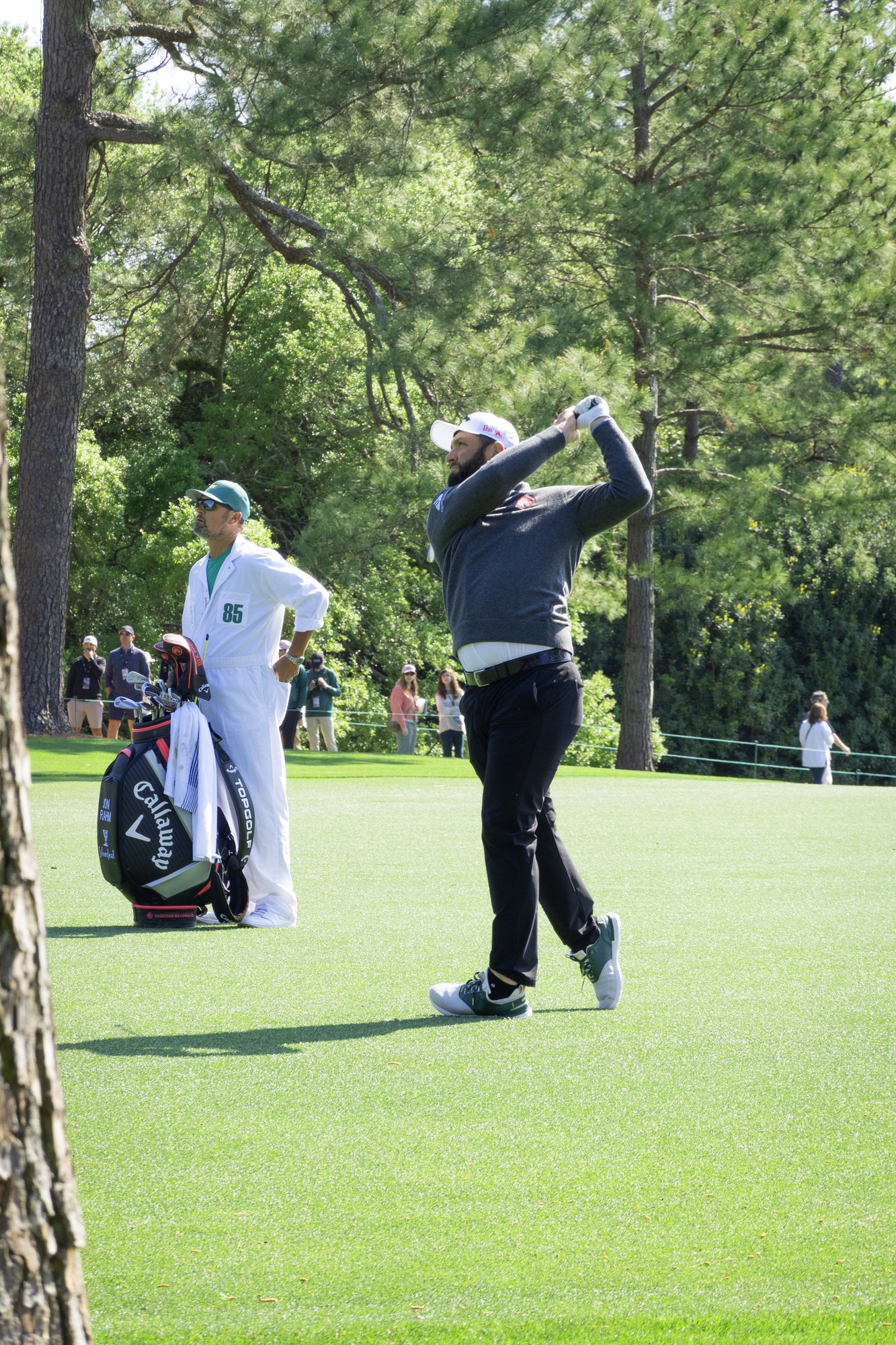 The Masters