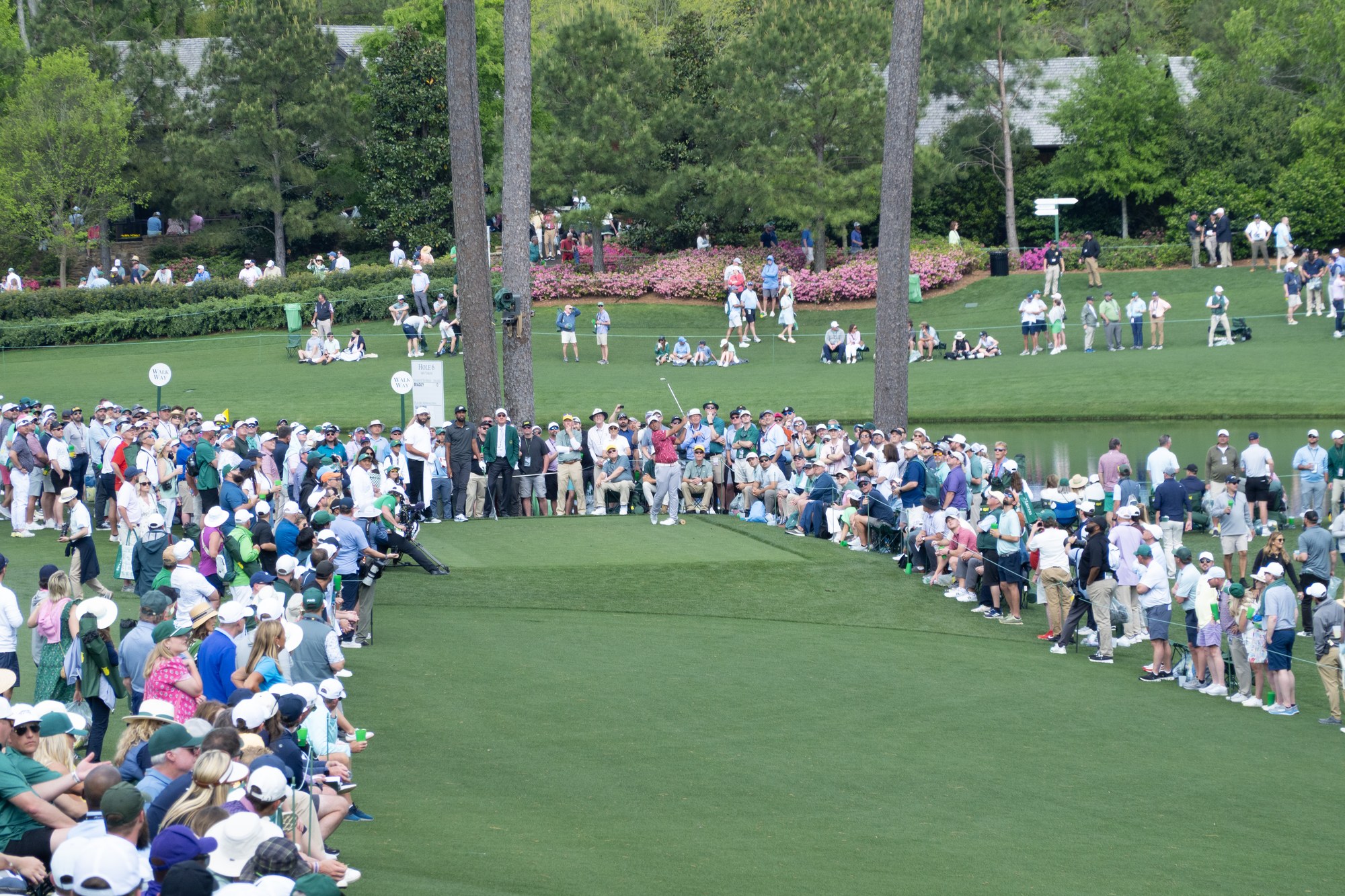 The Masters