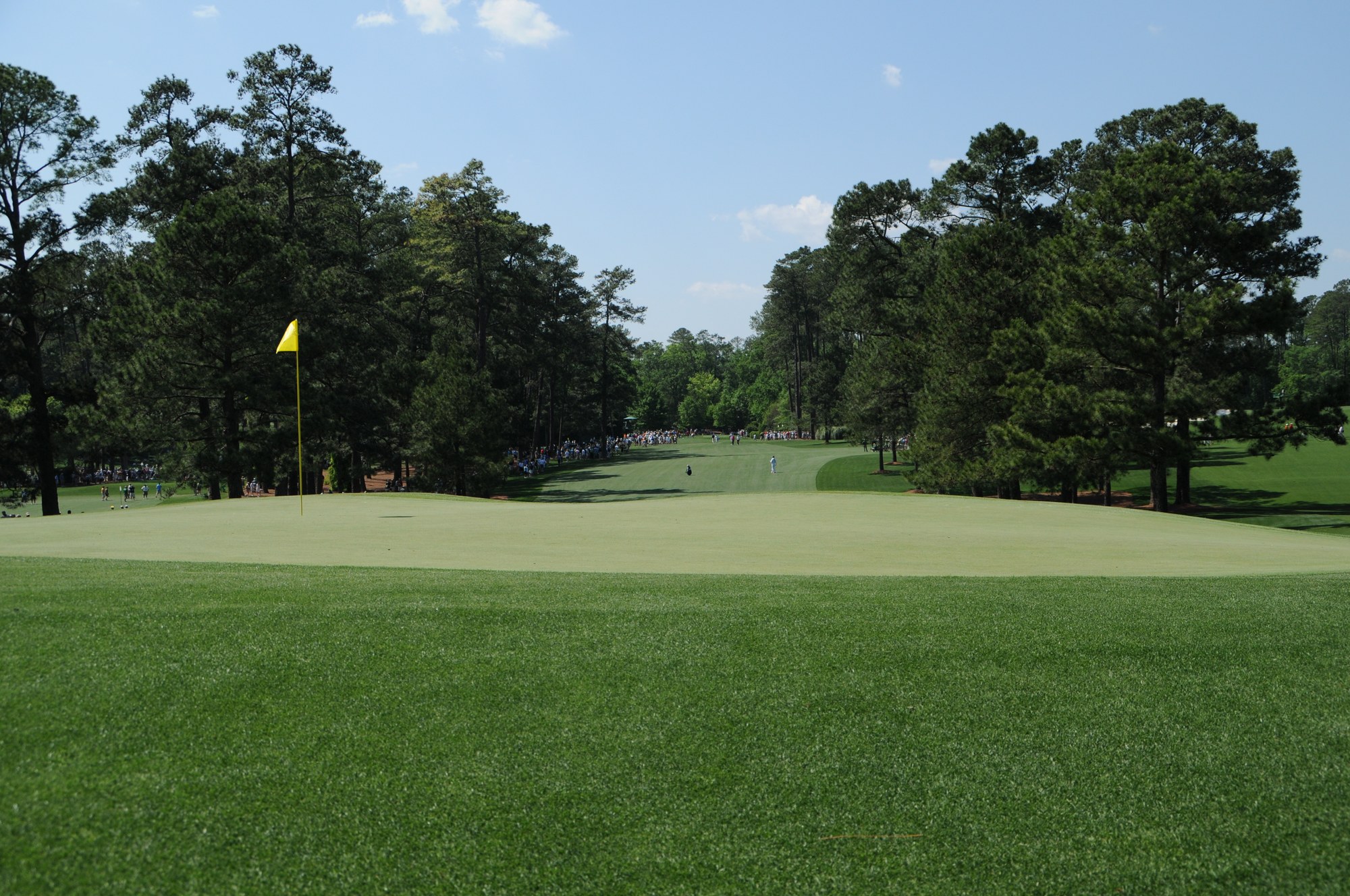 The Masters