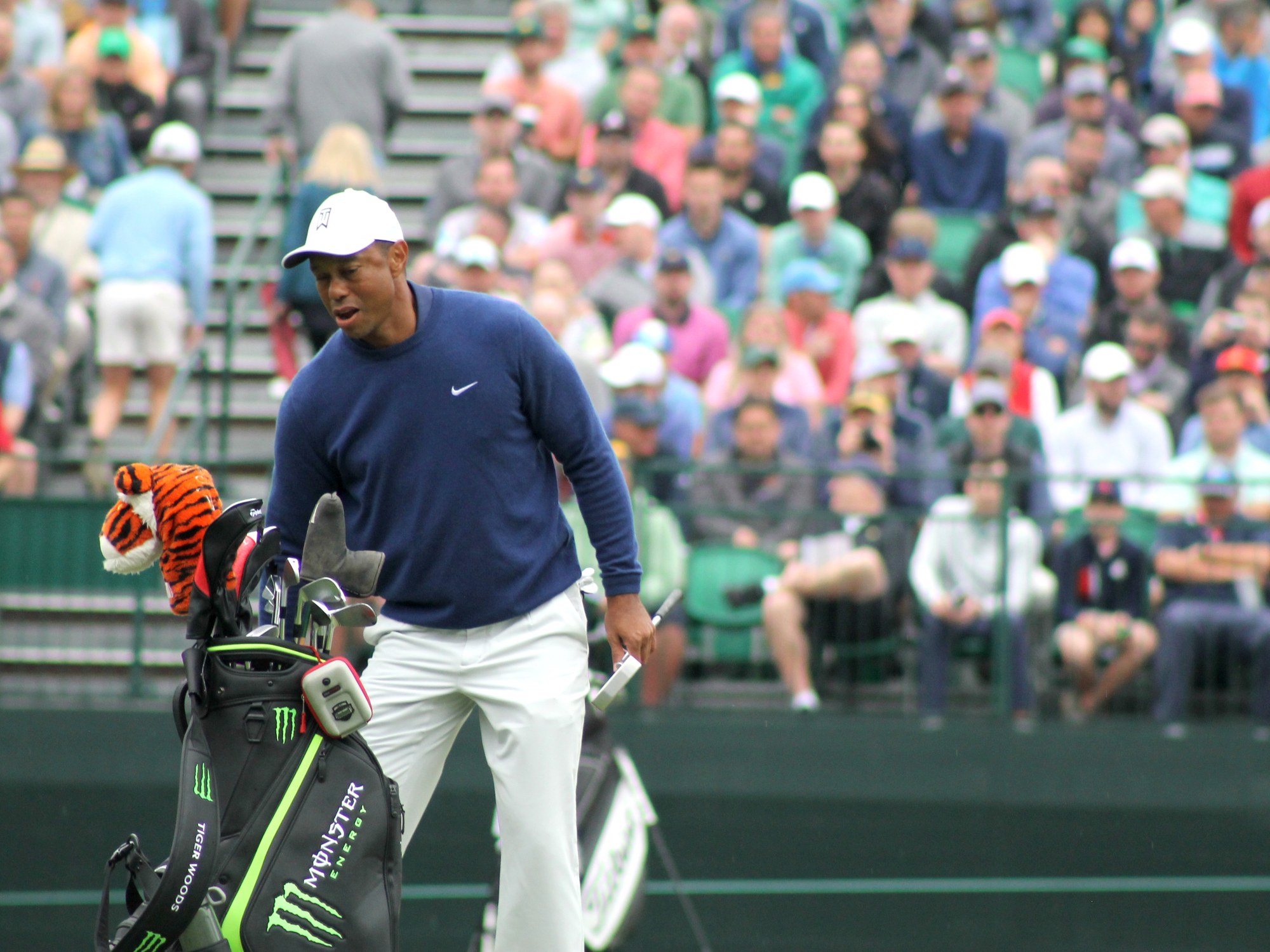 The Masters