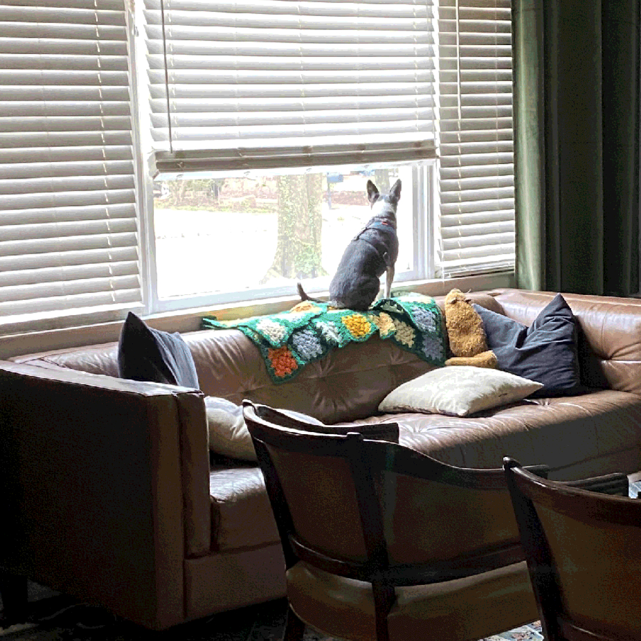 The old couch